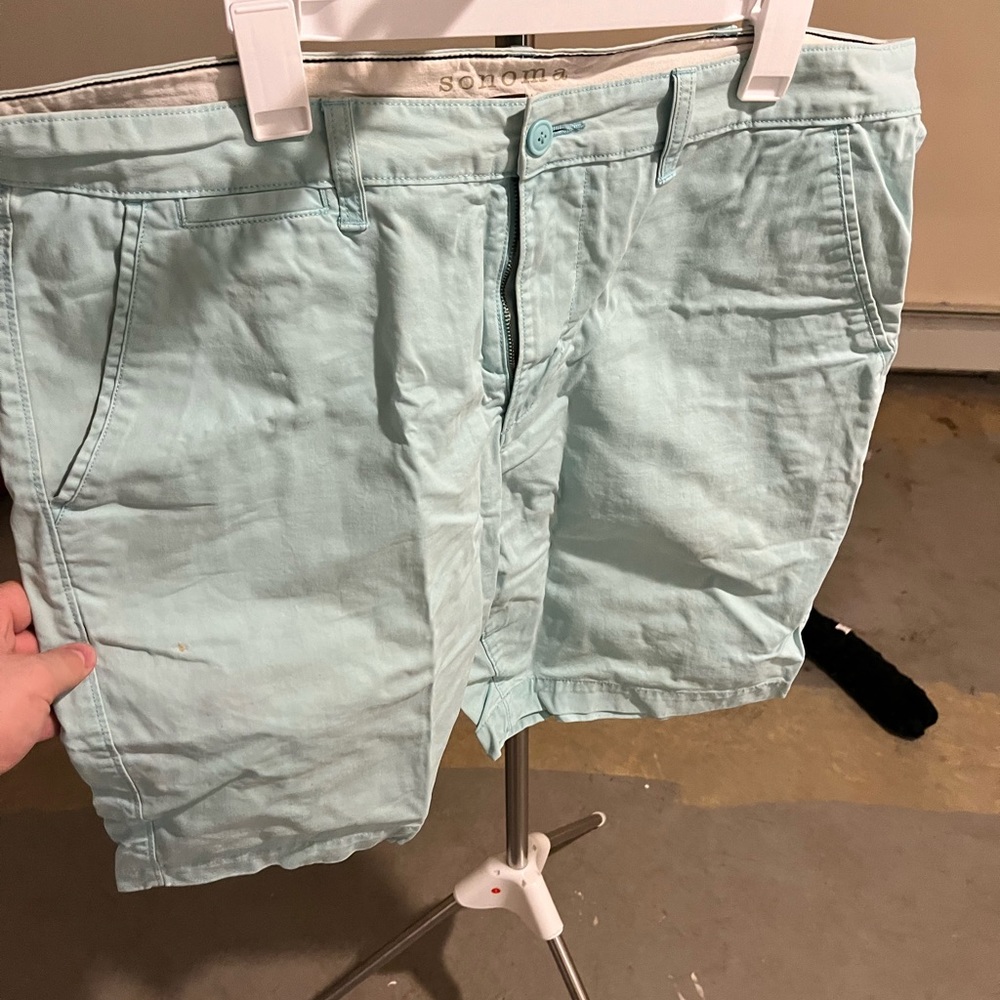 Pale Blue Men’s Sonoma Flat Front Shorts